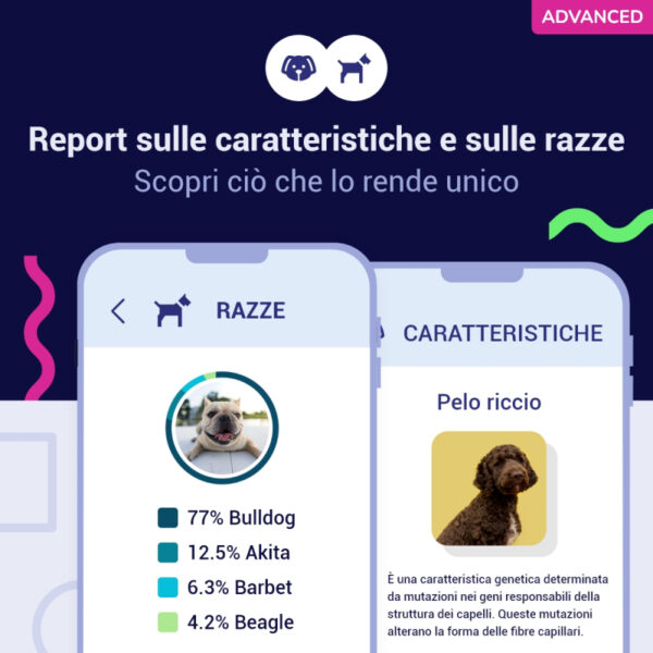 (Advanced) Test del Dna per Cani - immagine 2