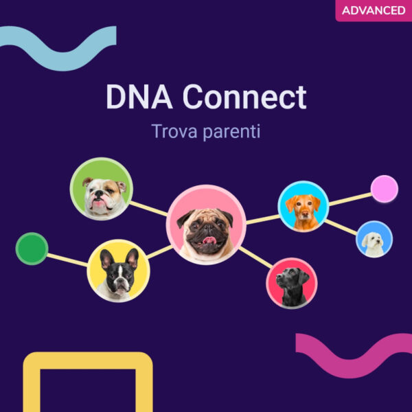 (Advanced) Test del Dna per Cani - immagine 4