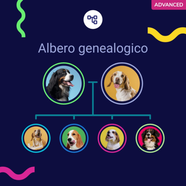 (Advanced) Test del Dna per Cani - immagine 5