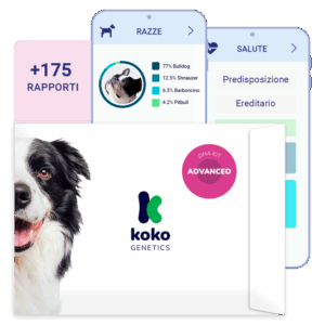 (Advanced) Test del Dna per Cani