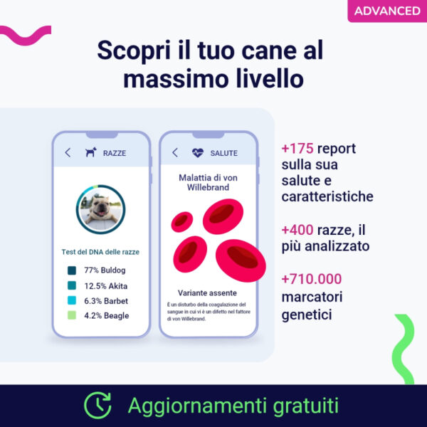 (Advanced) Test del Dna per Cani - immagine 7