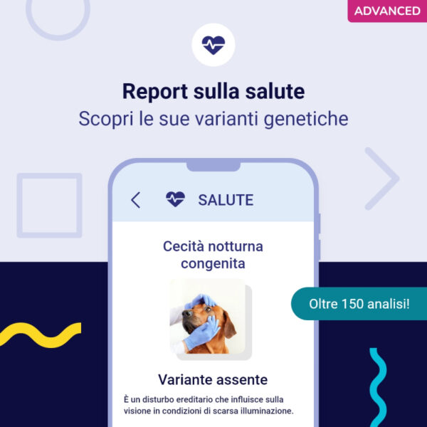 (Advanced) Test del Dna per Cani - immagine 8