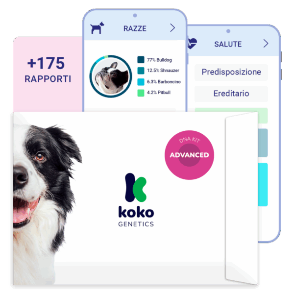 (Advanced) Test del Dna per Cani