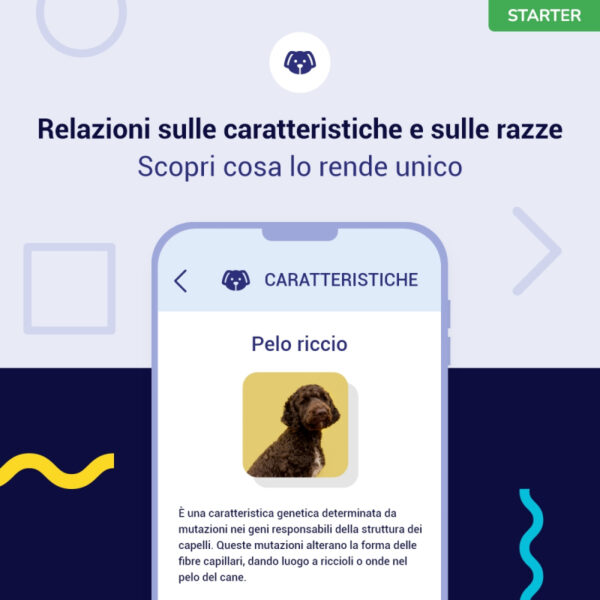 (Starter) Test del Dna per Cani - immagine 3