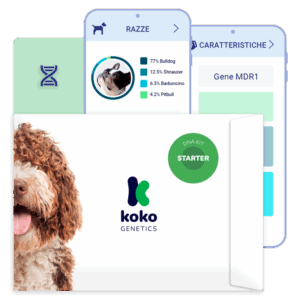 (Starter) Test del Dna per Cani