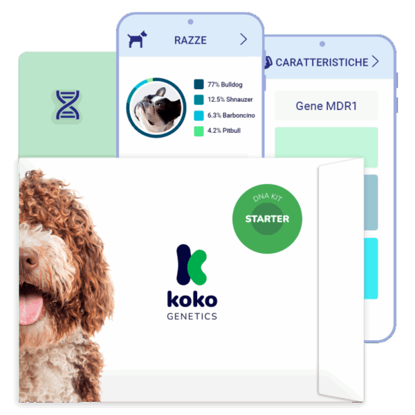 (Starter) Test del Dna per Cani