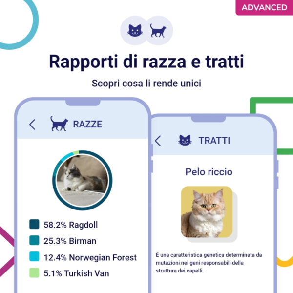 (Advanced) Test del Dna per Gatti - immagine 2