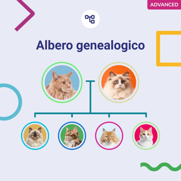 (Advanced) Test del Dna per Gatti - immagine 4