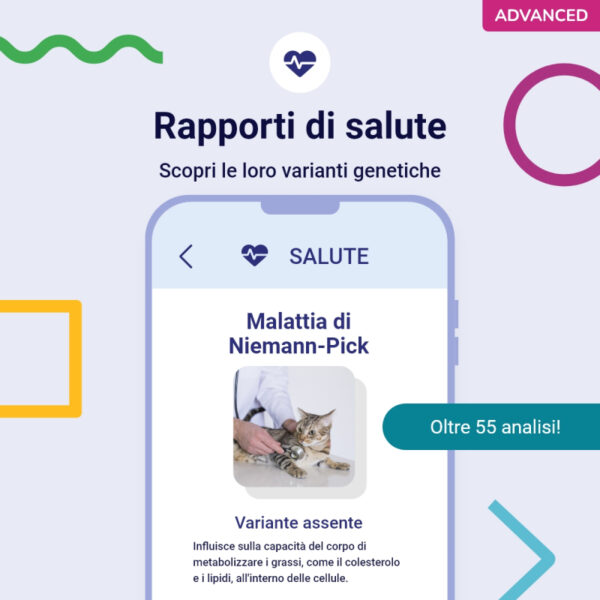 (Advanced) Test del Dna per Gatti - immagine 5