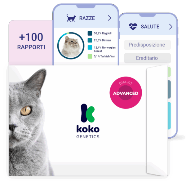 (Advanced) Test del Dna per Gatti