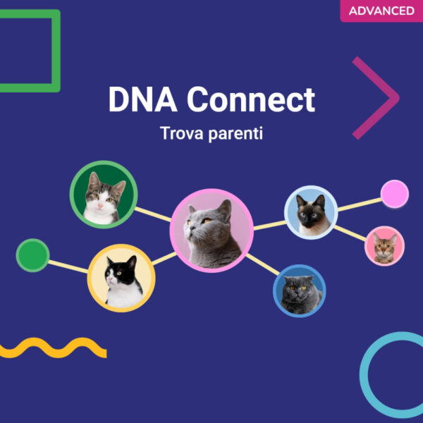 (Advanced) Test del Dna per Gatti - immagine 8