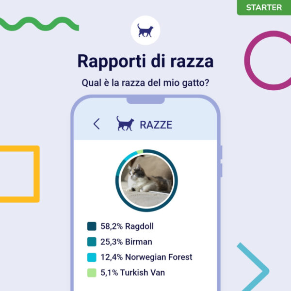 (Starter) Test del Dna per Gatti - immagine 8