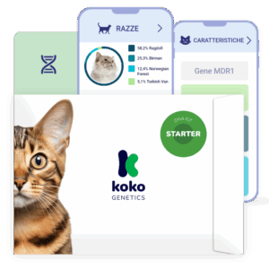 (Starter) Test del Dna per Gatti
