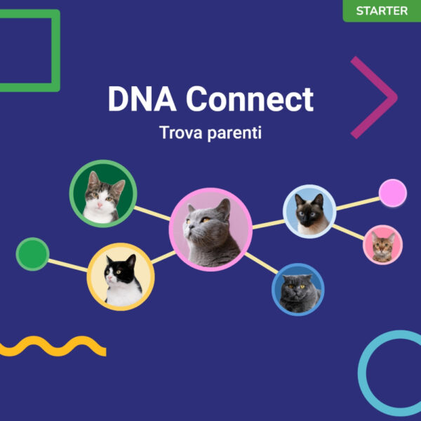 (Starter) Test del Dna per Gatti - immagine 5