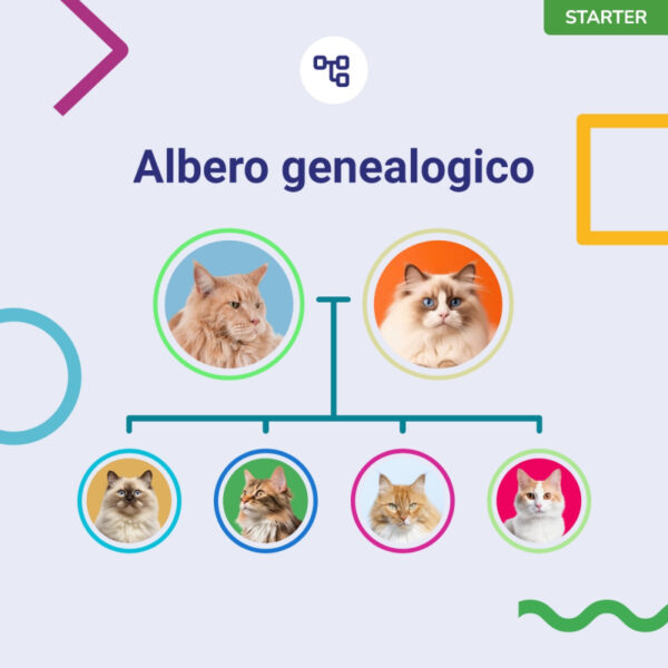 (Starter) Test del Dna per Gatti - immagine 4