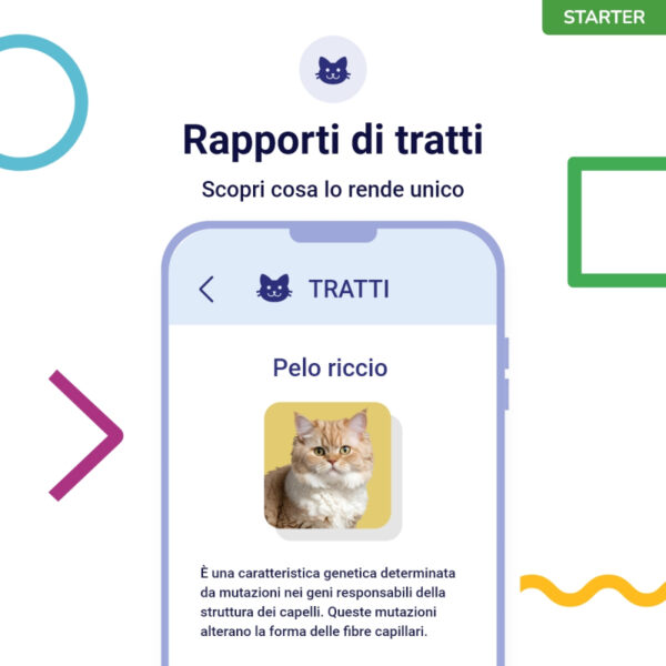 (Starter) Test del Dna per Gatti - immagine 2