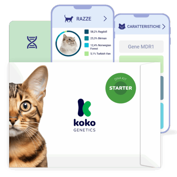 (Starter) Test del Dna per Gatti