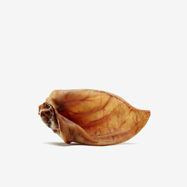 Orecchie di Suino