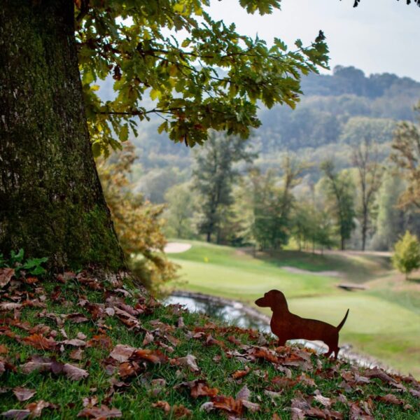 Forme animali in Corten - immagine 2
