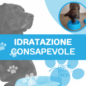 La Tua Acqua Intelligente per una Vita Consapevole.