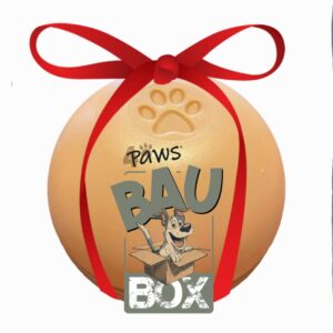 BauBox
