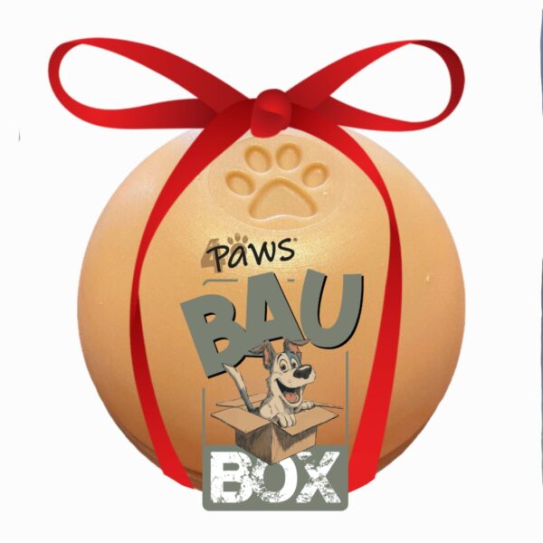 BauBox