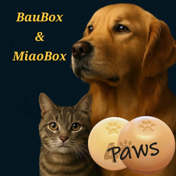 MiaoBox - immagine 9