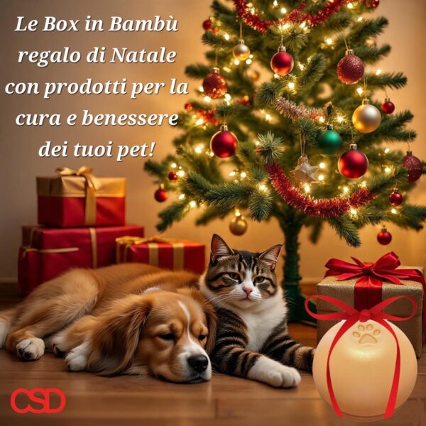 MiaoBox - immagine 11