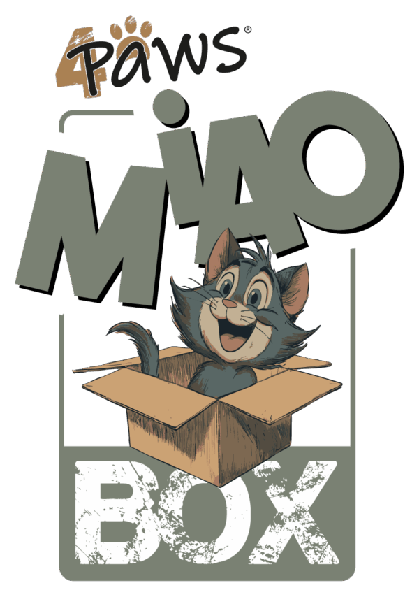 MiaoBox - immagine 2