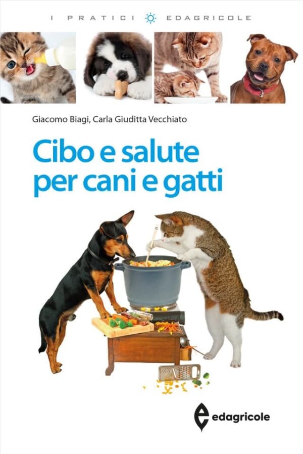 MiaoBox - immagine 8